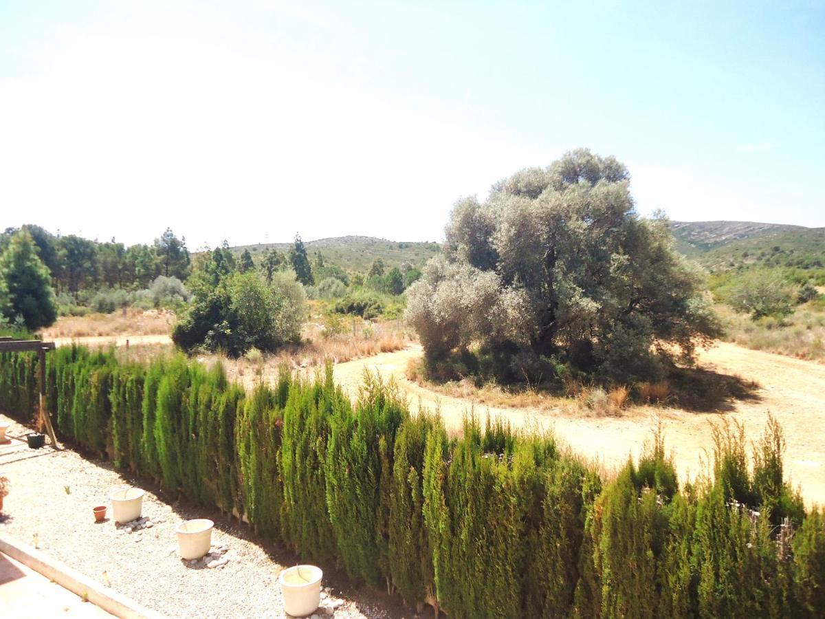 Peñíscola Los Olivos Residencial Lek מראה חיצוני תמונה